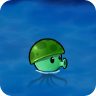 海蘑菇